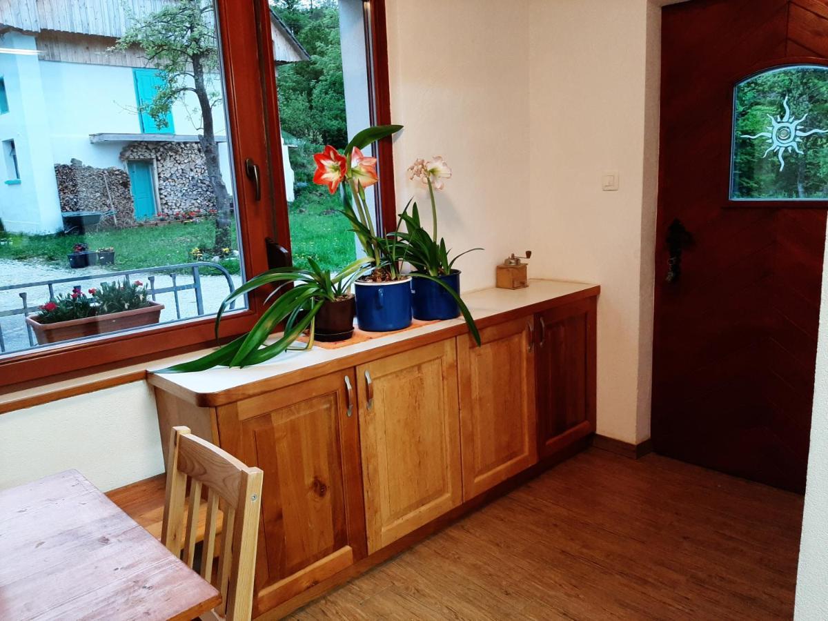 Healing Farm Apartment Gorenja Vas  Luaran gambar